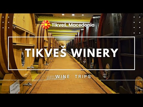Tikves Winery - Macedonia - Wine Trips