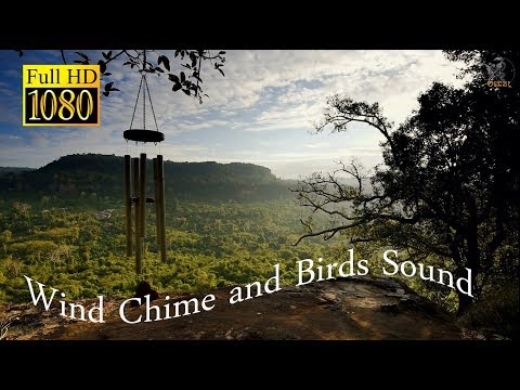 Wind Chimes and Birds - Relaxing Nature Sound - Sleep/Study/Work/Meditation - 3 hours