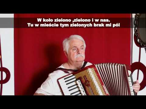 POLA ZIELONE - accordion cover by Andrzej Maciejczak