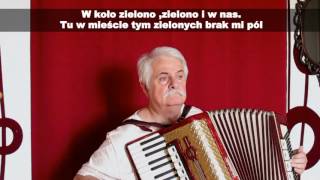 POLA ZIELONE - accordion cover by Andrzej Maciejczak