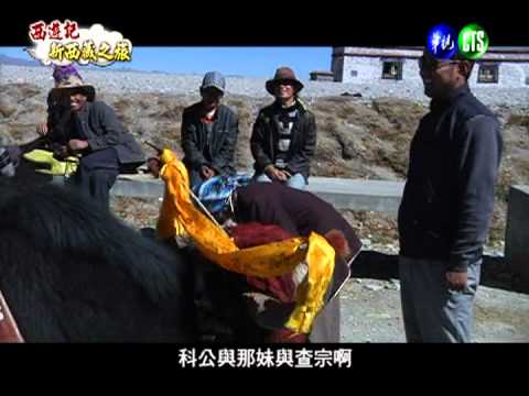 騎犛牛.遛獒犬 西藏之旅新體驗