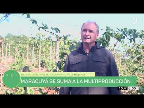 #NuestroAgro: De aviador a productor de maracuyá en Los Helechos