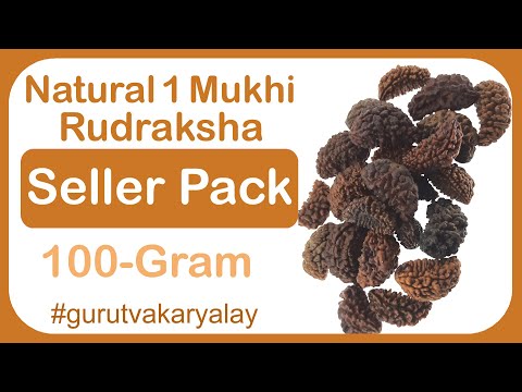 Natural 1 mukhi rudraksha100 gram seller pack  ek mukhi rudr...