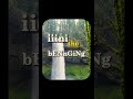 In The Beninging Hopecore Hopelessness Hopelesscore Funny Funnyvideo
