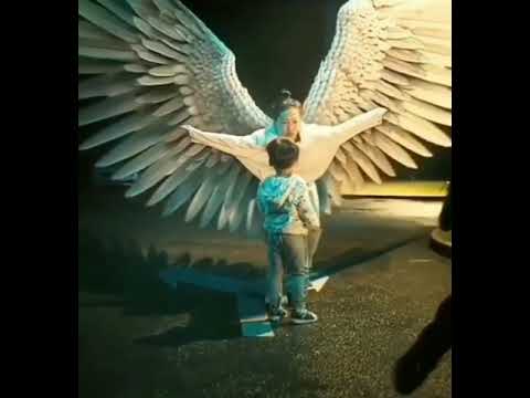 chirakukal mulakkuvan | open your wings | whatsapp status ♥️♥️