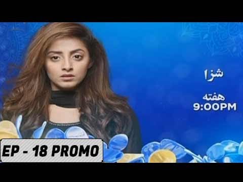 Shiza Episode - 18 -  ( Promo ) -  ARY Digital