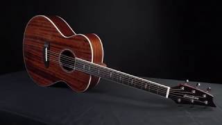 Video thumbnail for BREEDLOVE GUITARS: STAGE EXOTIC AND STAGE SERIES ACOUSTIC GUITARS by Breedlove Guitars