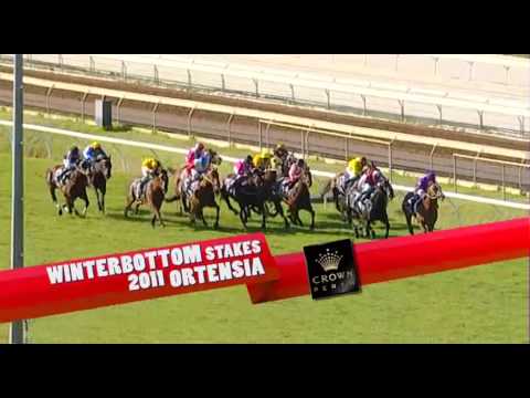 Winterbottom Stakes 2008-2012