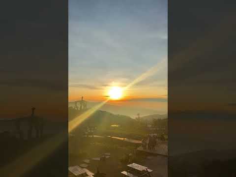 Đón Sân Bay Liên Khương Ghép Tour Đà Lạt Trong Ngày Video tour Đà Lạt và săn mây Cầu Đất cùng Taxi Đức Trọng