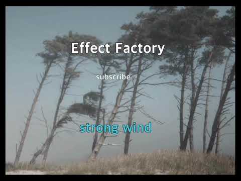 strong wind sound effect