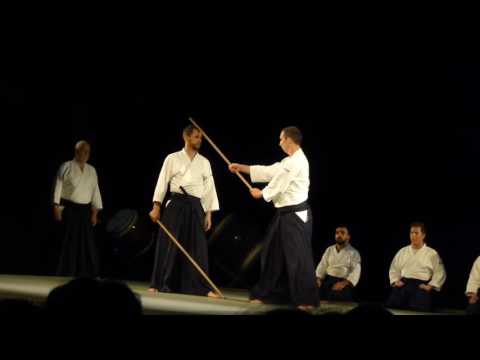 Aikido Kobayashi Ryu André Cognard et ses élèves NAMT 2016 partie 1