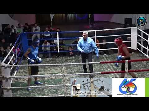 BOXEO EN OLIVA   Schukk     Villegas