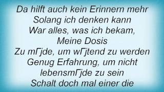 Blumfeld - Dosis Lyrics_1