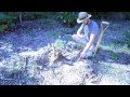 Crash Gardening Season 2 Ep 1 Harvesting Cassava