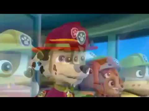 Paw PaTROL - Pups save Ryder Clip - Season 2 - Cartoon