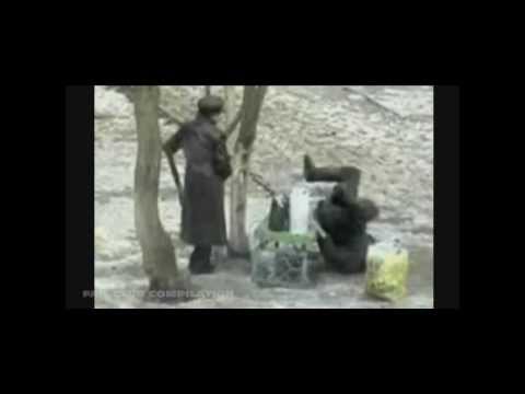 Tak się bawi Rosja Complication!