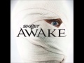 skillet awake and alive remix 