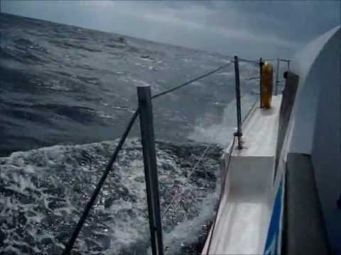 Rubessa Delivery.wmv