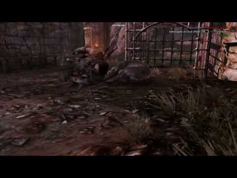 Shadow of Mordor (PC) - Walking Sideways Glitch