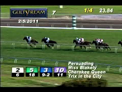 The Suwannee River Stakes