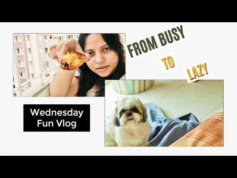From Busy to Lazy | Morning to Night Routine - Indian | Morning to Night Vlog | Wednesday Fun Vlog Video