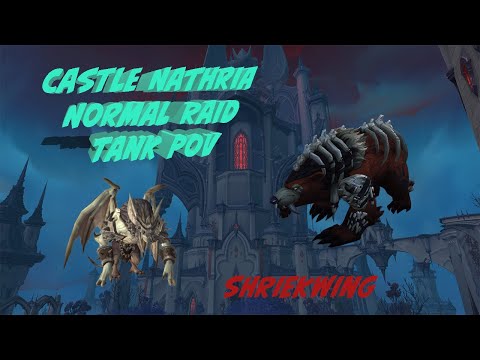 Castle Nathria Normal - Shriekwing - Tank PoV