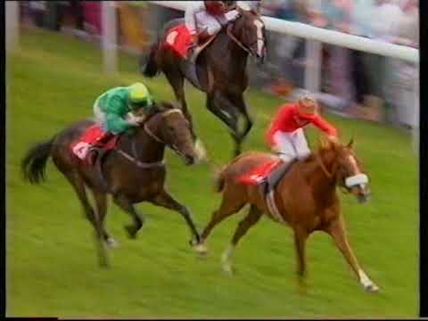 1989 Tote Ebor Sapience + Replay