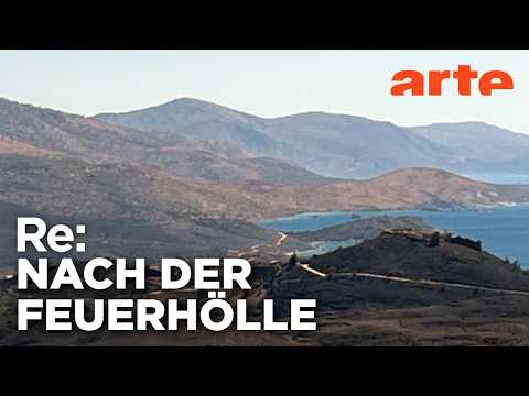 Video Thumbnail: Verbranntes Land, zerstörte Träume? | ARTE Re: