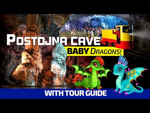 Postojna Cave, Slovenia - REAL Life Baby Dragons!