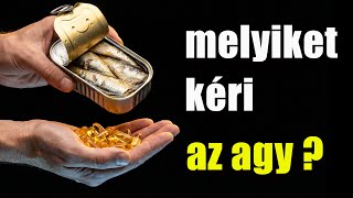 Miért nem jut el a legtöbb Omega-3 az agyba?