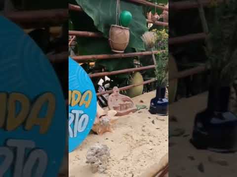 Puerto Macondo (Tabio Cundinamarca) Súper recomendando
