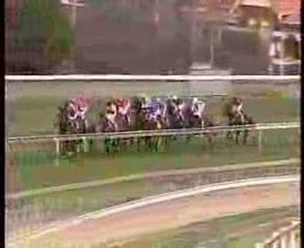 2006 J J Liston Stakes (Winner : 龐比大帝)