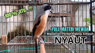 Download lagu Cendet gacor FULL MATERI paling AMPUH pancingan CENDET AGAR BUNYI jadikan BURUNG PENTET GACOR ISIAN mp3