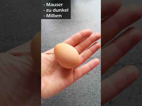 , title : '🥚❌ Hühner legen plötzlich keine Eier mehr?!'
