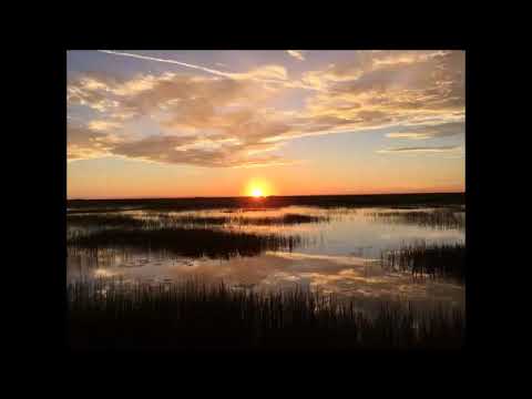 📌 Alba Weinman - Relaxation and Visualization Exercise for Stress Relief and Inner Peace 🧘‍♂️✨