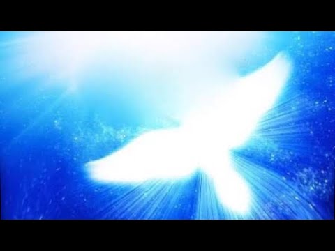 Soins et initiation à l'énergie de la Lumière de la paix