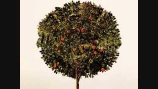 Runaway - Cartel - Acoustic