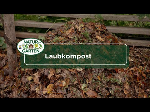 Laubkompost