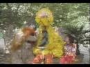 Big Bird In China