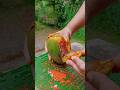 For Mango Lovers Mango