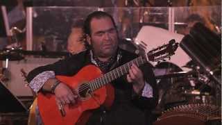 Die Fantastischen Vier@ MTV Unplugged II. &quot;Was wollen wir noch mehr?&quot; - Director&#39;s Cut