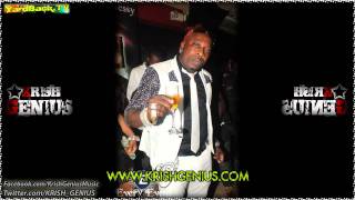 Elephant Man - Party Fans [Back To Basics Riddim] Nov 2011