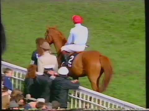 1992 Martell Grand National (BBC Extended Coverage): Liverpool 04-04-1992