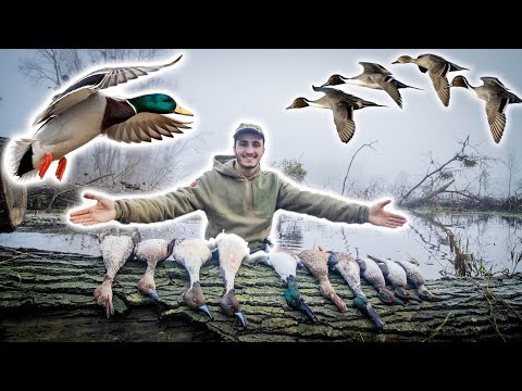Très Belle Chasse au Canard dans les Marais Inondés ! [Chasser-Cuisiner-Manger]