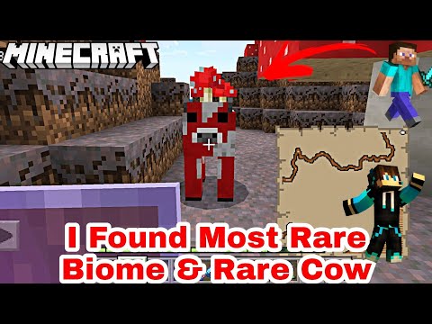 GAMING RIK - Most Rare Biome In Minecraft | Minecraft in Most Rare Item | Minecraft World Record