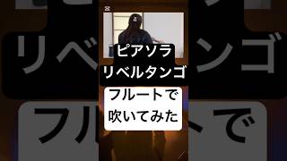 Download lagu 【ピアソラ】ピアソラの名曲をやさしく艶やかに…『リベルタンゴ』フルート演奏 #フルートカバー #タンゴ #フルート演奏 #ピアソラ mp3