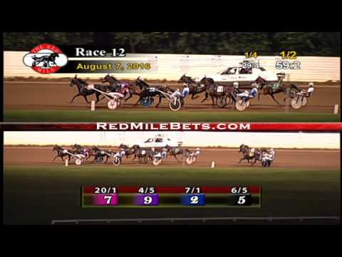 Red Mile Racetrack Race 12 8-7-2016