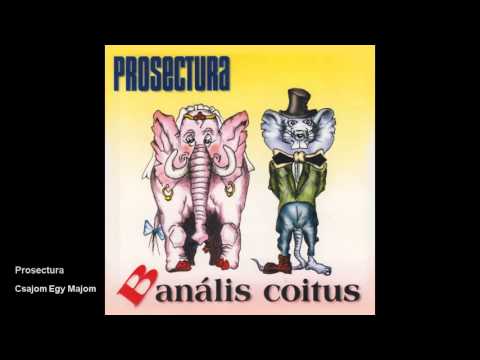 Csajom Egy Majom - Prosectura
