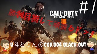 [CoD:BO4]#1 FPS初心者が逝く　勝利とキル取りたいのにまさか…そんな…っ！！