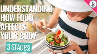 Understanding How Food Affects Your Body - Take Your Health to the Next Level!